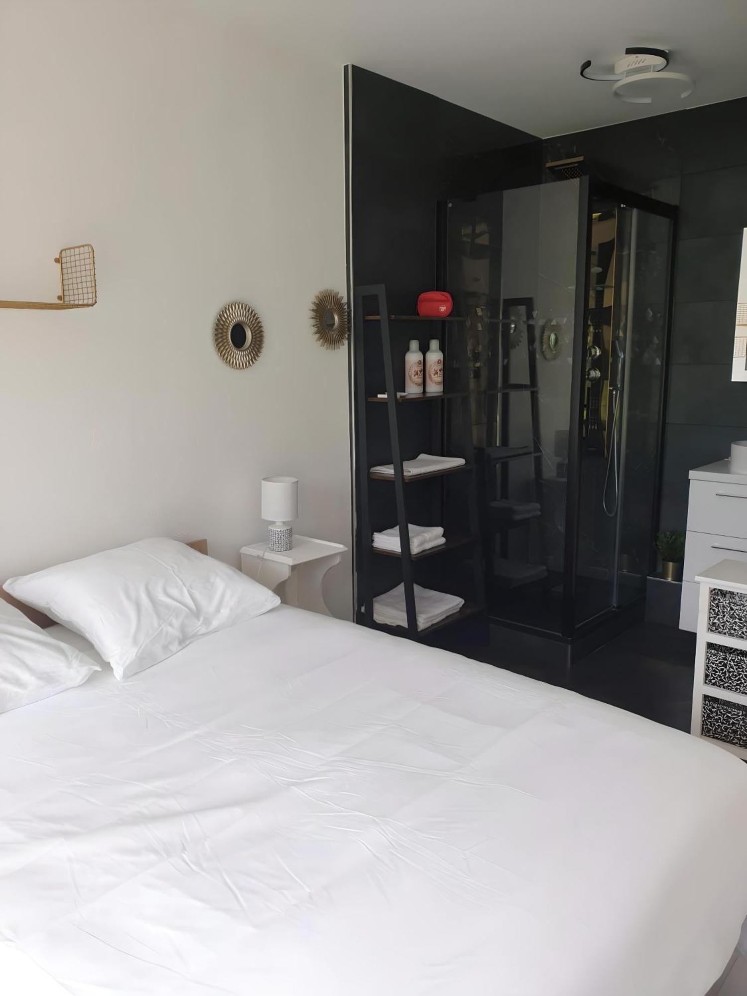 Appartement Avec Jardin Prive - 2 A 4 Voyageur シャビル エクステリア 写真